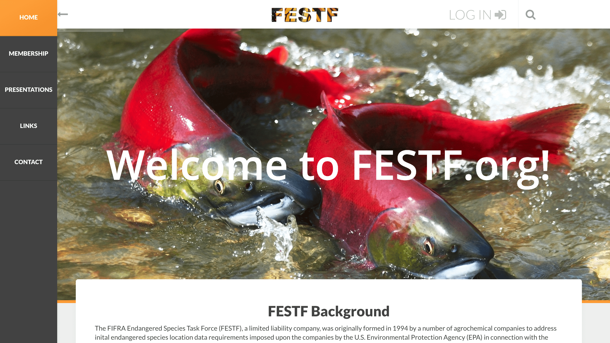 FESTF's new site